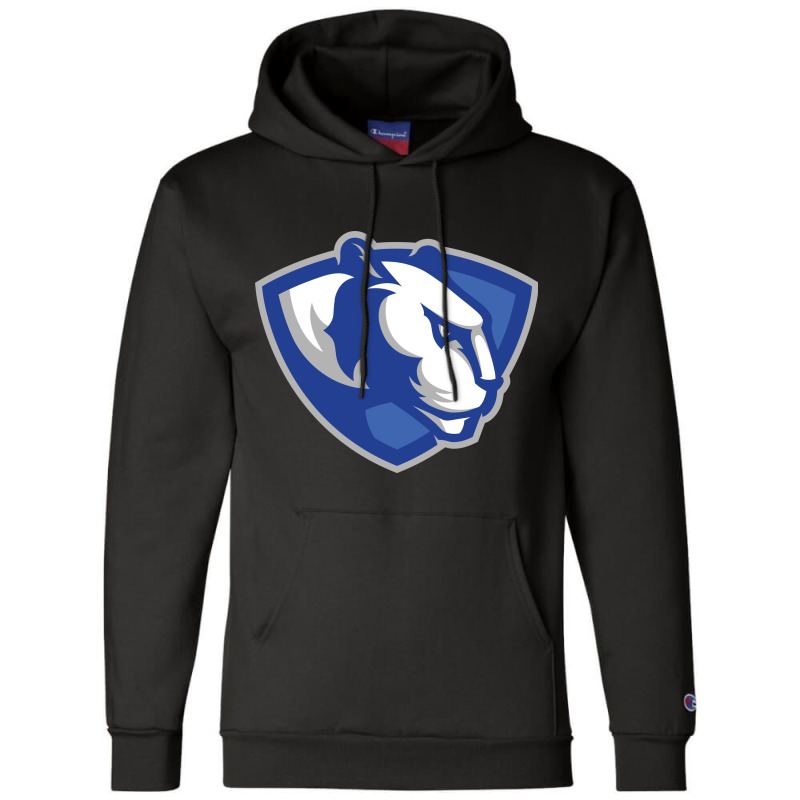 Eastern Illinois Panthers Champion Hoodie by doksshop | Artistshot