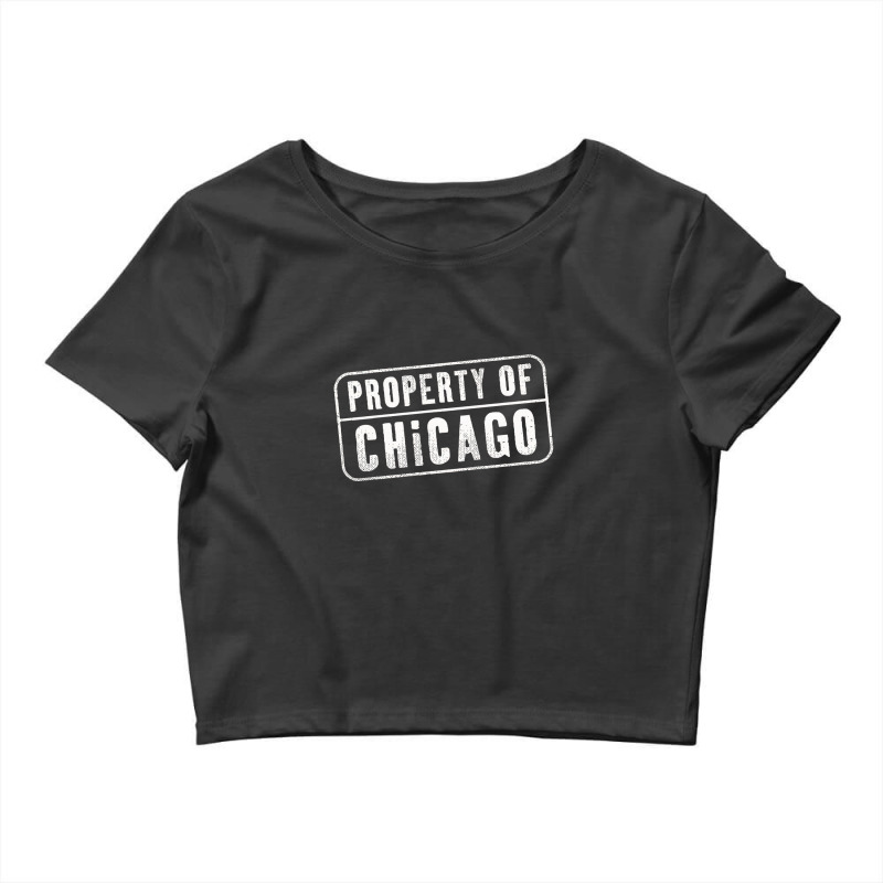 Chicago Illinois Il Property Crop Top by TerriBeverly | Artistshot