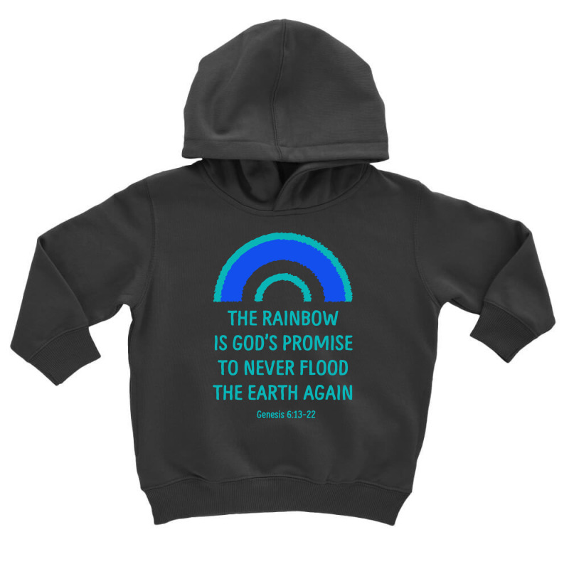 Rainbow God's Promise Genesis Toddler Hoodie by rosm4 | Artistshot