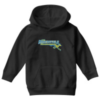 Roadrunners, Bakersfield (csu) College Youth Hoodie | Artistshot