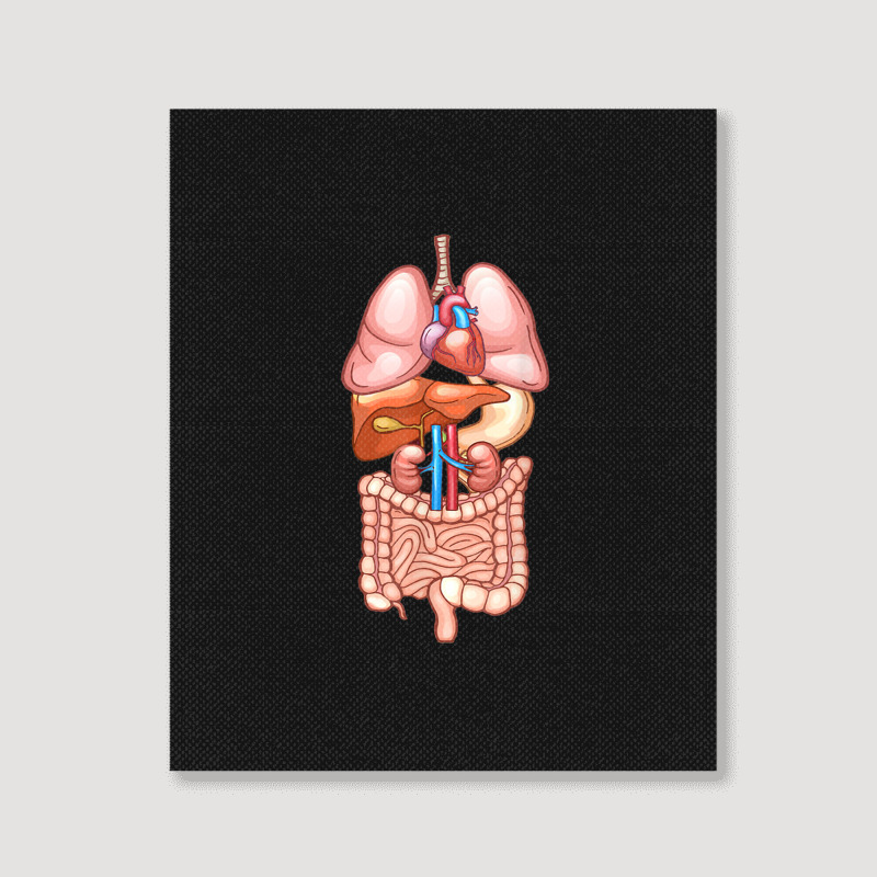 Halloween T Shirt Internal Organ Diagram Anatomy Portrait Canvas Print | Artistshot