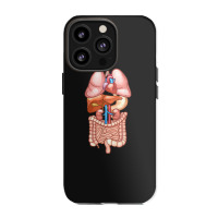 Halloween T Shirt Internal Organ Diagram Anatomy Iphone 13 Pro Case | Artistshot