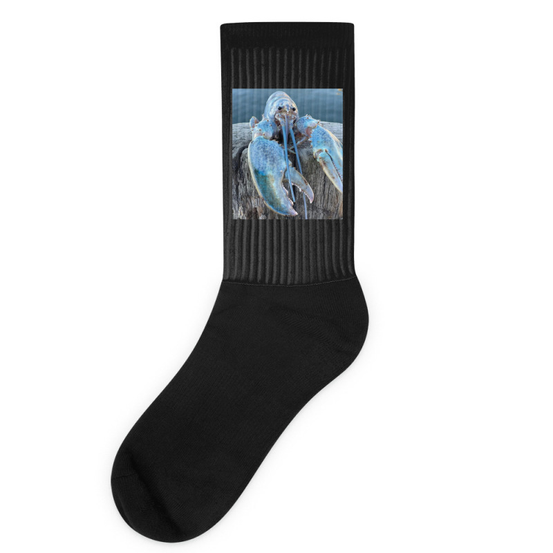 Socks meme : r/bluey