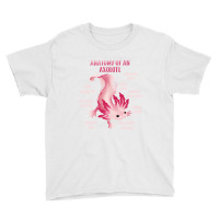 Cute Anatomy Of An Axolotl Youth Tee | Artistshot