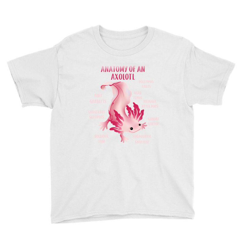 Cute Anatomy Of An Axolotl Youth Tee by JessyTee01 | Artistshot