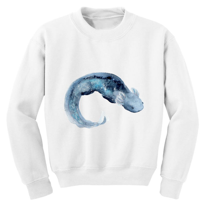 Galaxy Axolotl Youth Sweatshirt by JessyTee01 | Artistshot