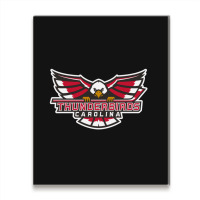 Carolina Thunderbirds Metal Print Vertical | Artistshot