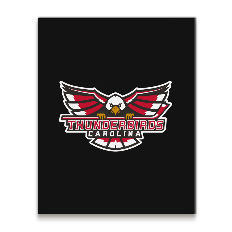 Carolina Thunderbirds Metal Print Vertical | Artistshot