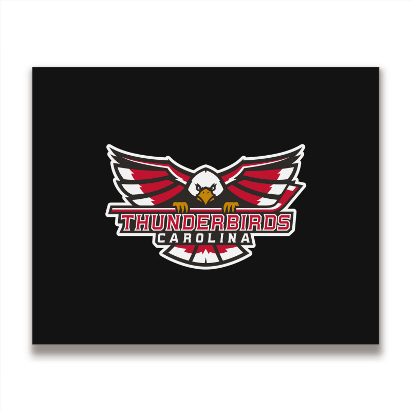 Carolina Thunderbirds Metal Print Horizontal | Artistshot