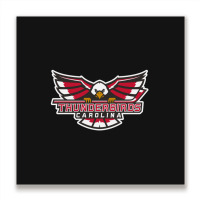 Carolina Thunderbirds Metal Print Square | Artistshot