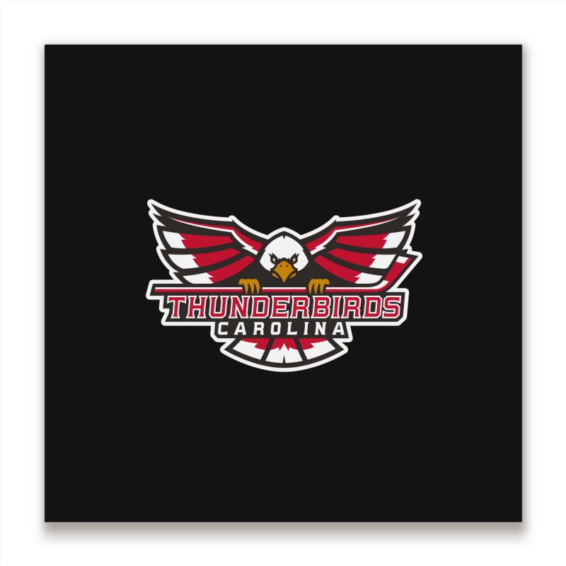 Carolina Thunderbirds Metal Print Square | Artistshot