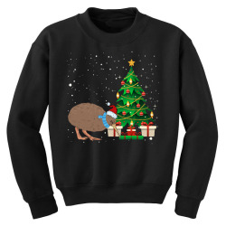 kiwi bird christmas for dark Youth Sweatshirt | Artistshot