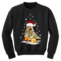 Berger Picard Dog Lights Christmas Matching Family T Shirt Youth Sweatshirt | Artistshot