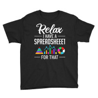 I Have A Spreadsheeet For That Actuary Risk Calculator T Shirt Youth Tee | Artistshot