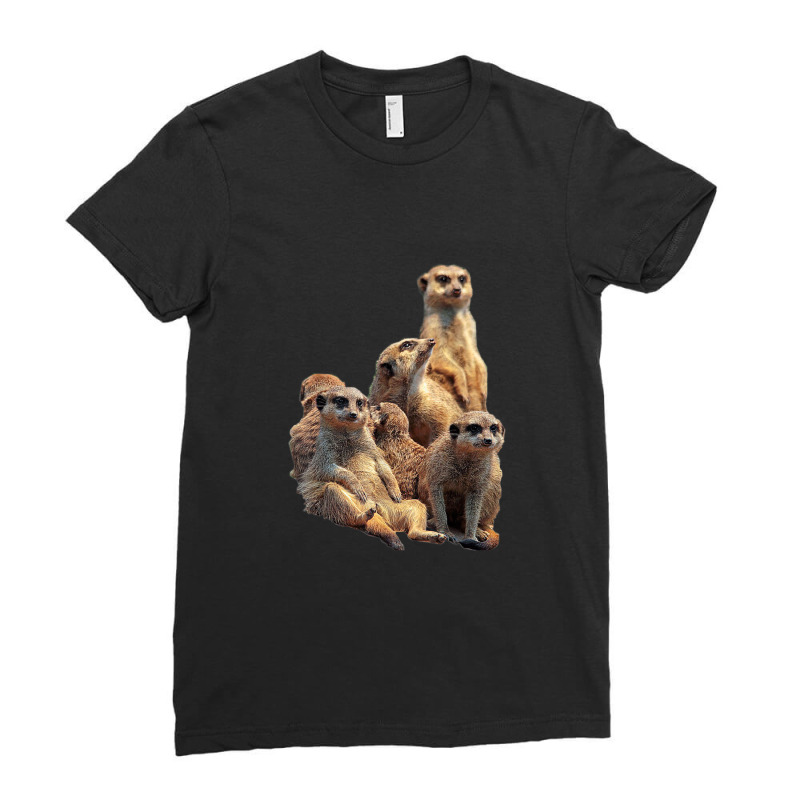 Lettertrunk Meerkat Family In The Kalahari Desert Ladies Fitted T-Shirt by StevenThomasHobert | Artistshot