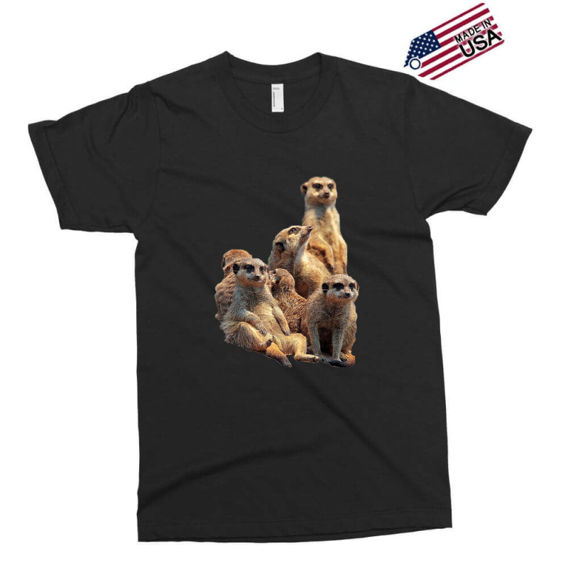 Lettertrunk Meerkat Family In The Kalahari Desert Exclusive T-shirt by StevenThomasHobert | Artistshot