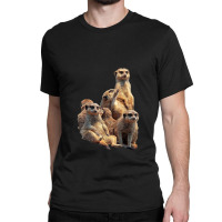 Lettertrunk Meerkat Family In The Kalahari Desert Classic T-shirt | Artistshot