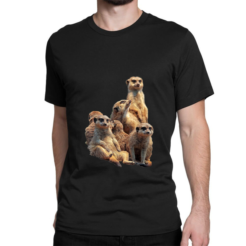 Lettertrunk Meerkat Family In The Kalahari Desert Classic T-shirt by StevenThomasHobert | Artistshot