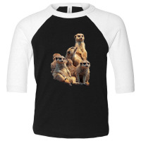 Lettertrunk Meerkat Family In The Kalahari Desert Toddler 3/4 Sleeve Tee | Artistshot