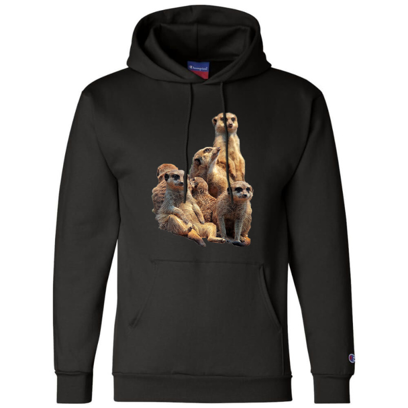 Lettertrunk Meerkat Family In The Kalahari Desert Champion Hoodie by StevenThomasHobert | Artistshot