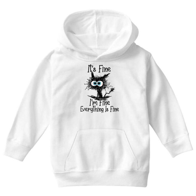 It Is Fine I Am Fine Everything Is Fine Funny Cat Youth Hoodie | Artistshot