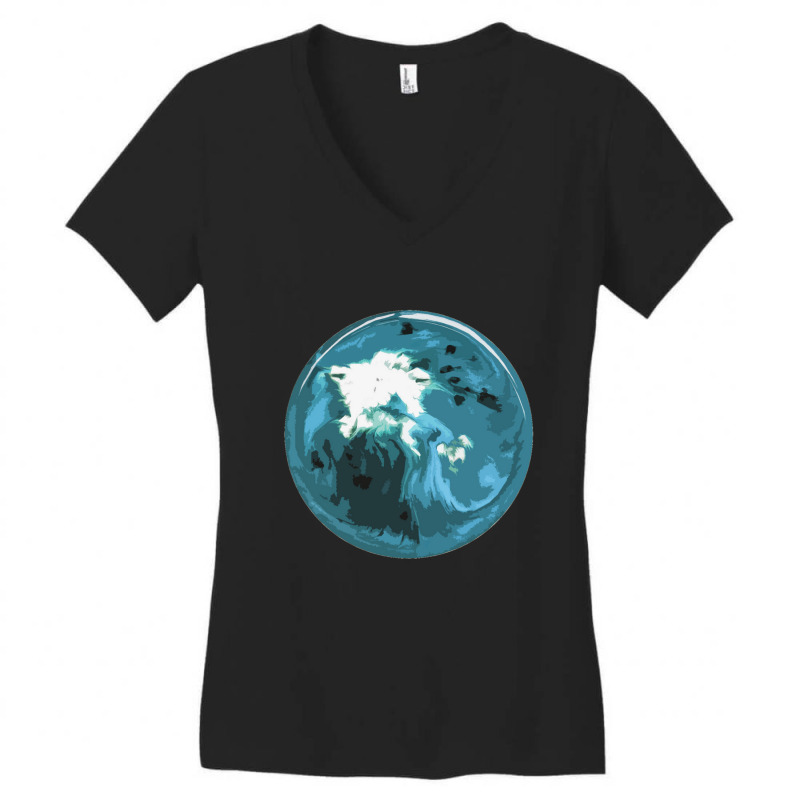 Blossom Women's V-Neck T-Shirt by Anita J Aldrich | Artistshot