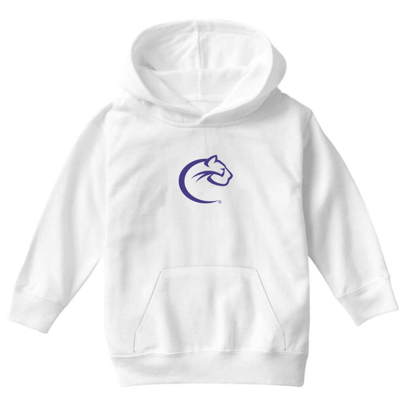 Ch`at`ha`m Cou`gars Youth Hoodie by Mestinasi | Artistshot