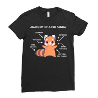 Anatomy Of A Red Panda Science Zoologist Red Panda Anatomy T Shirt Ladies Fitted T-shirt | Artistshot