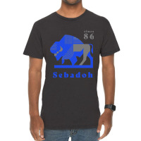 Sebadoh  Vintage Buffalo Graphic, Since 86. Original Graphic Design Fo Vintage T-shirt | Artistshot