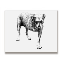 Grunge Album Metal Print Horizontal | Artistshot