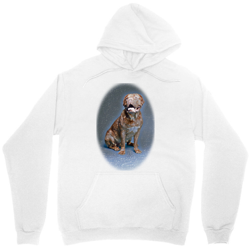 Studio Portrait Of Bordeaux D Background Unisex Hoodie | Artistshot