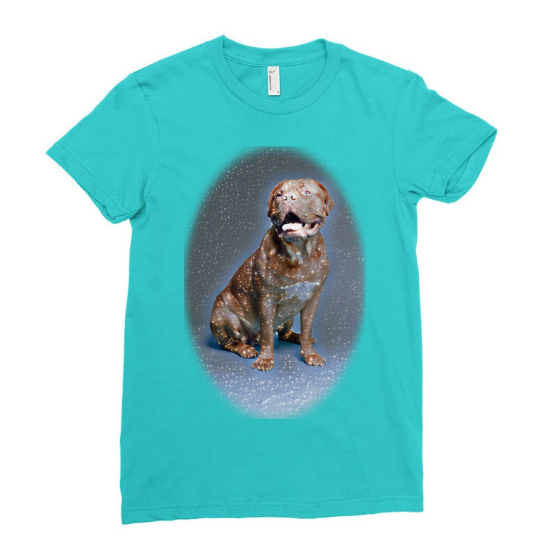 Studio Portrait Of Bordeaux D Background Ladies Fitted T-Shirt by Kemnabi | Artistshot