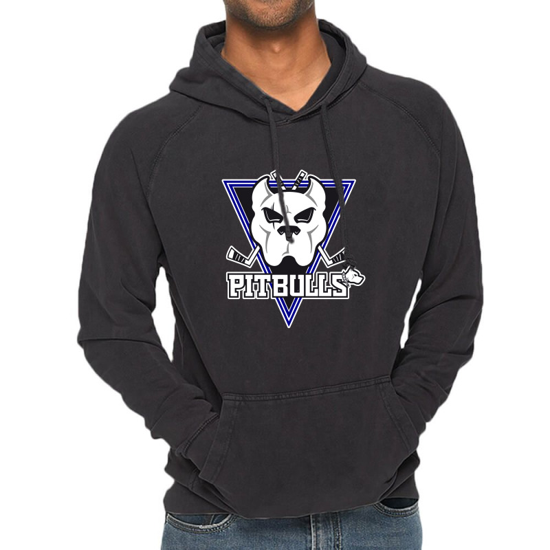 Bristol Pitbulls Vintage Hoodie | Artistshot