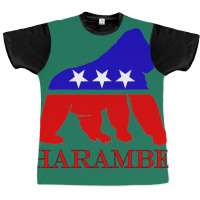 Harambe Graphic T-shirt | Artistshot