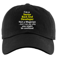 Senior Back End Developer Job Career Database Analyst T Shirt Kids Cap | Artistshot