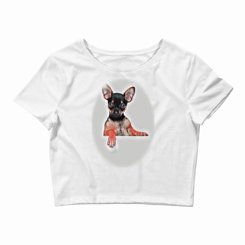 Adorable Dog Licking His Lips Crop Top by Kemnabi | Artistshot