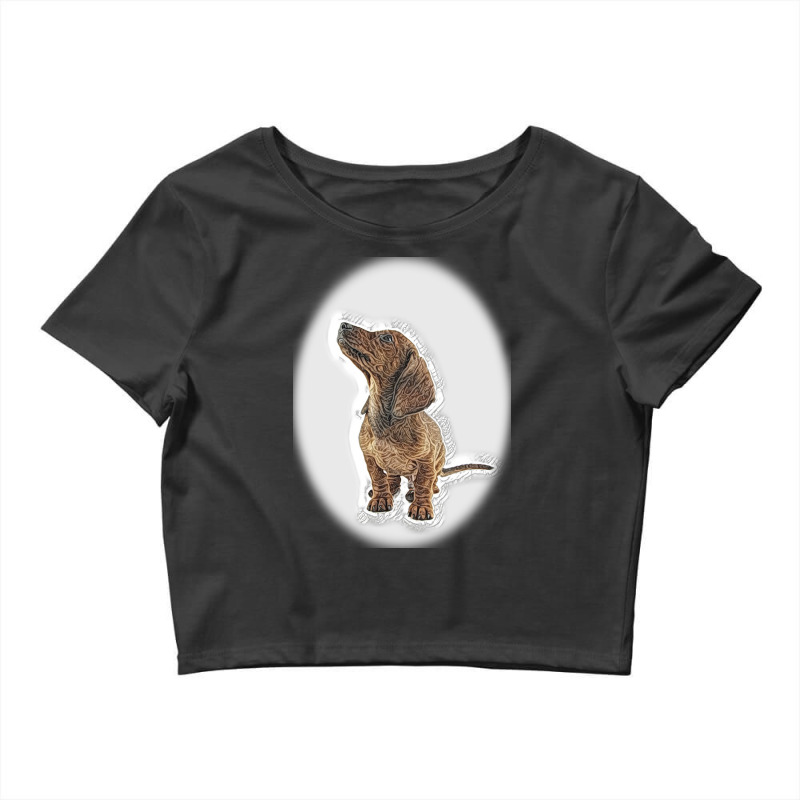 A Happy German Shepherd Mix Bhis Tongue Hangi Crop Top by Kemnabi | Artistshot