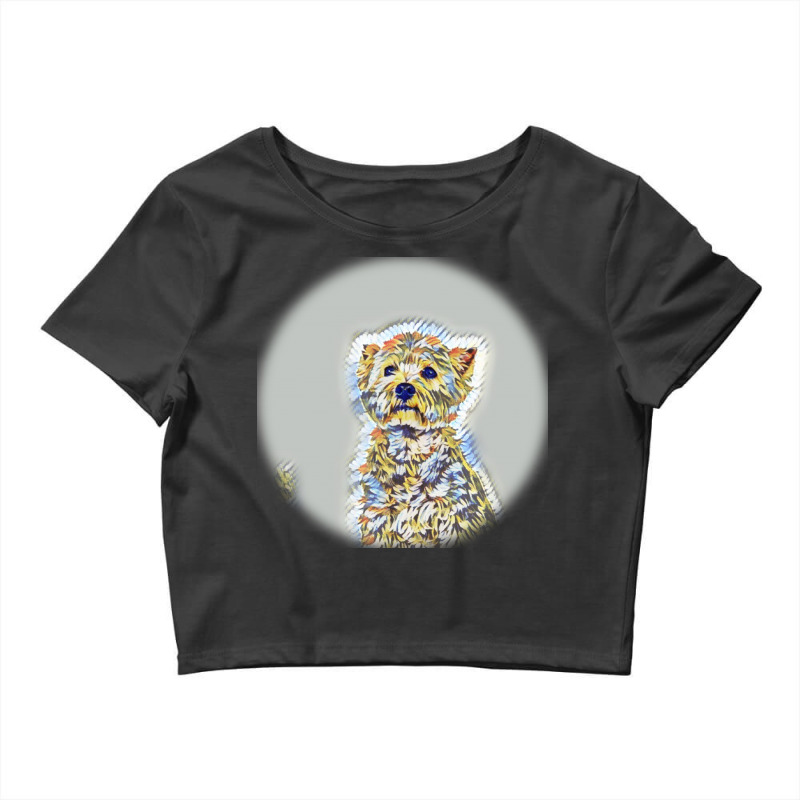 Beautiful Fun Young Boston Teing Jump And Run Crop Top by Kemnabi | Artistshot