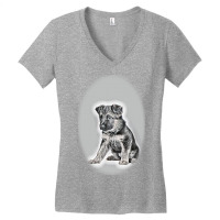 Red Dog Dachshund And Gray-bred Background Women's V-neck T-shirt | Artistshot