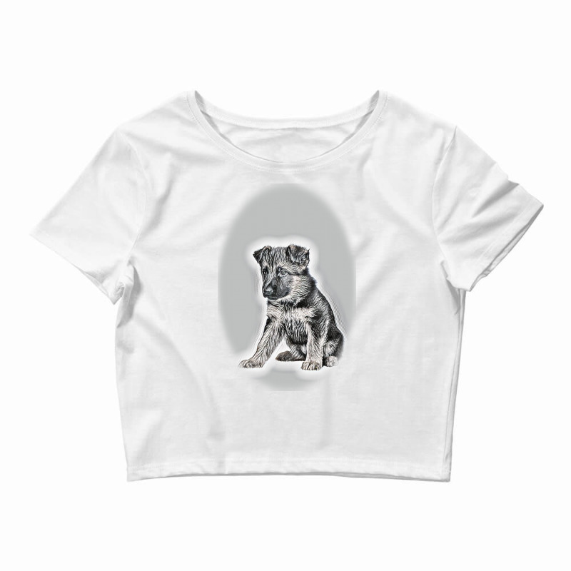 Red Dog Dachshund And Gray-bred Background Crop Top by Kemnabi | Artistshot