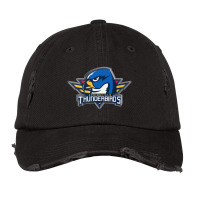 Springfield Thunderbirds Vintage Cap | Artistshot