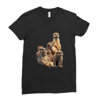 Lettertrunk Meerkat Family In The Kalahari Desert Ladies Fitted T-shirt | Artistshot