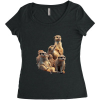 Lettertrunk Meerkat Family In The Kalahari Desert Women's Triblend Scoop T-shirt | Artistshot