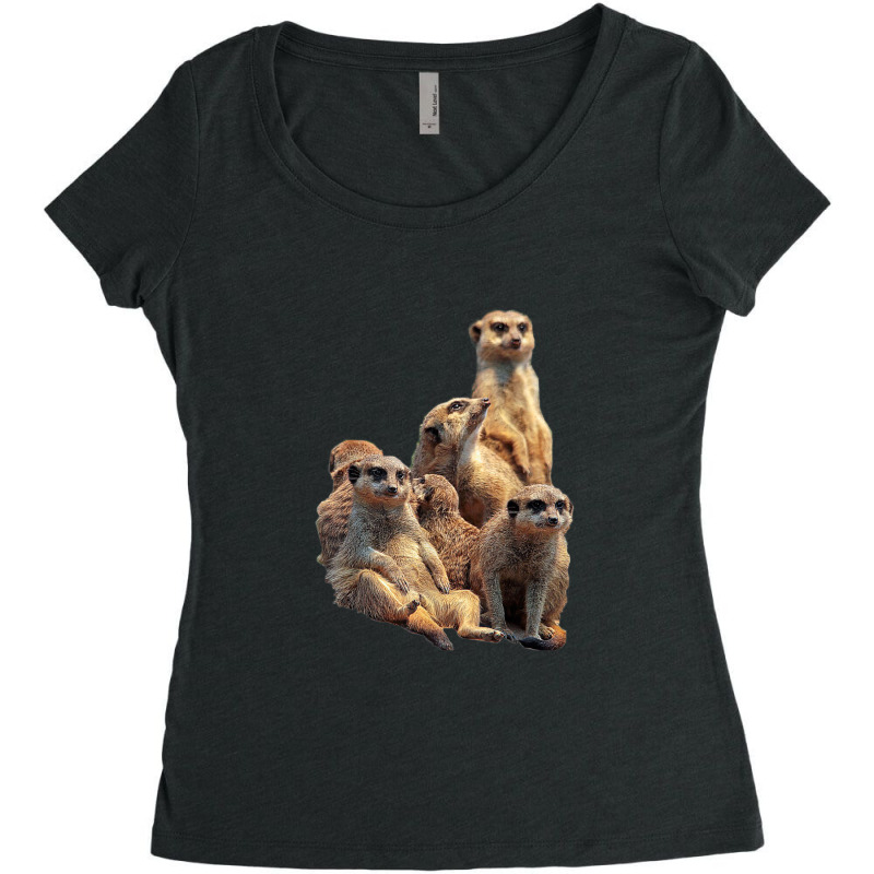 Lettertrunk Meerkat Family In The Kalahari Desert Women's Triblend Scoop T-shirt by BenSamirDarwish | Artistshot