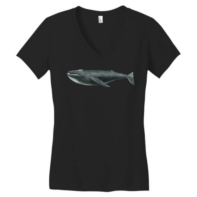 Humpback Whale Graphic Gift For Marine Biologist T Shirt Women's V-Neck T-Shirt by mosesswabyhi | Artistshot