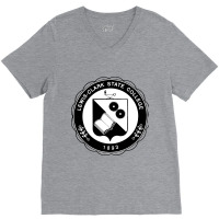 Lewis–clark Academy V-neck Tee | Artistshot