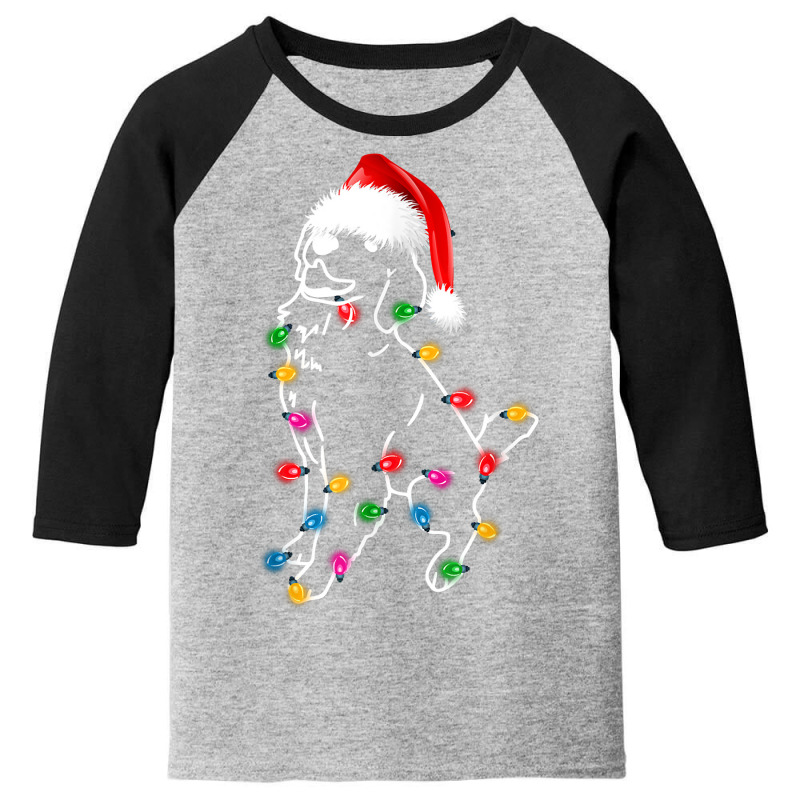 Golden Retriever Dog Lights Christmas Matching Family T Shirt Youth 3/4 Sleeve by nejnda | Artistshot