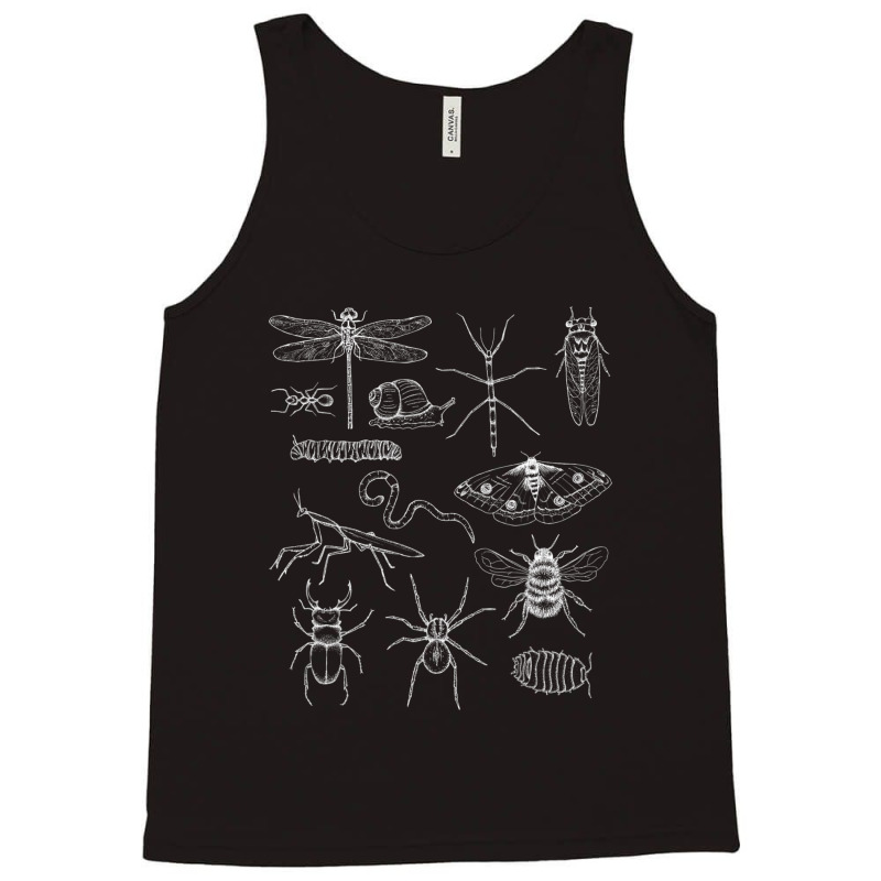 Minibeasts Insects And Invertebrates Drawings Tank Top | Artistshot