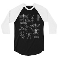 Minibeasts Insects And Invertebrates Drawings 3/4 Sleeve Shirt | Artistshot