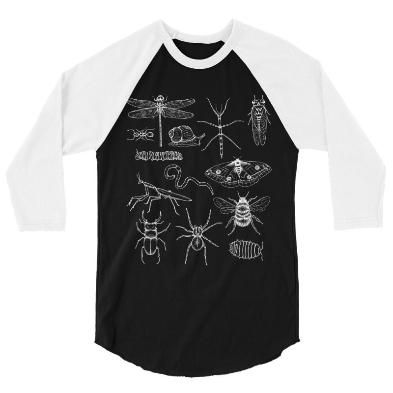 Minibeasts Insects And Invertebrates Drawings 3/4 Sleeve Shirt | Artistshot